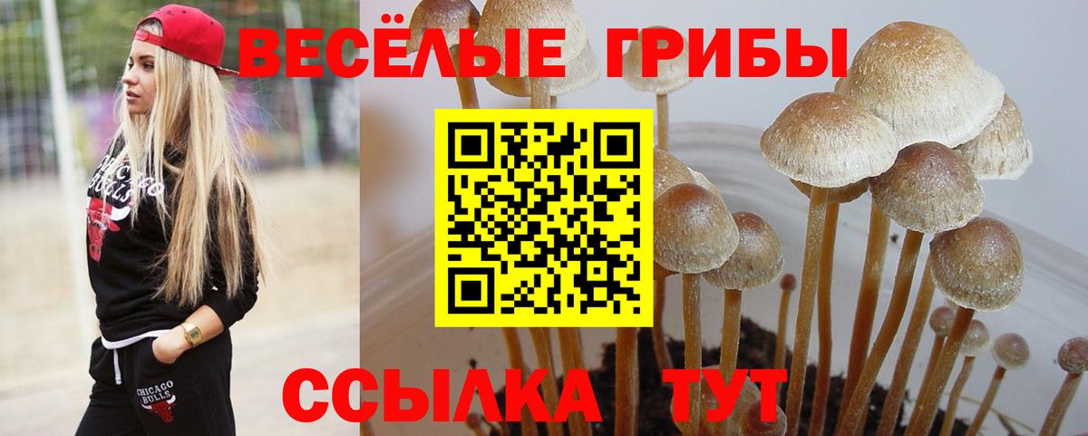 Печора  Галлюциногенные грибы Psilocybe  Вход с VPN 